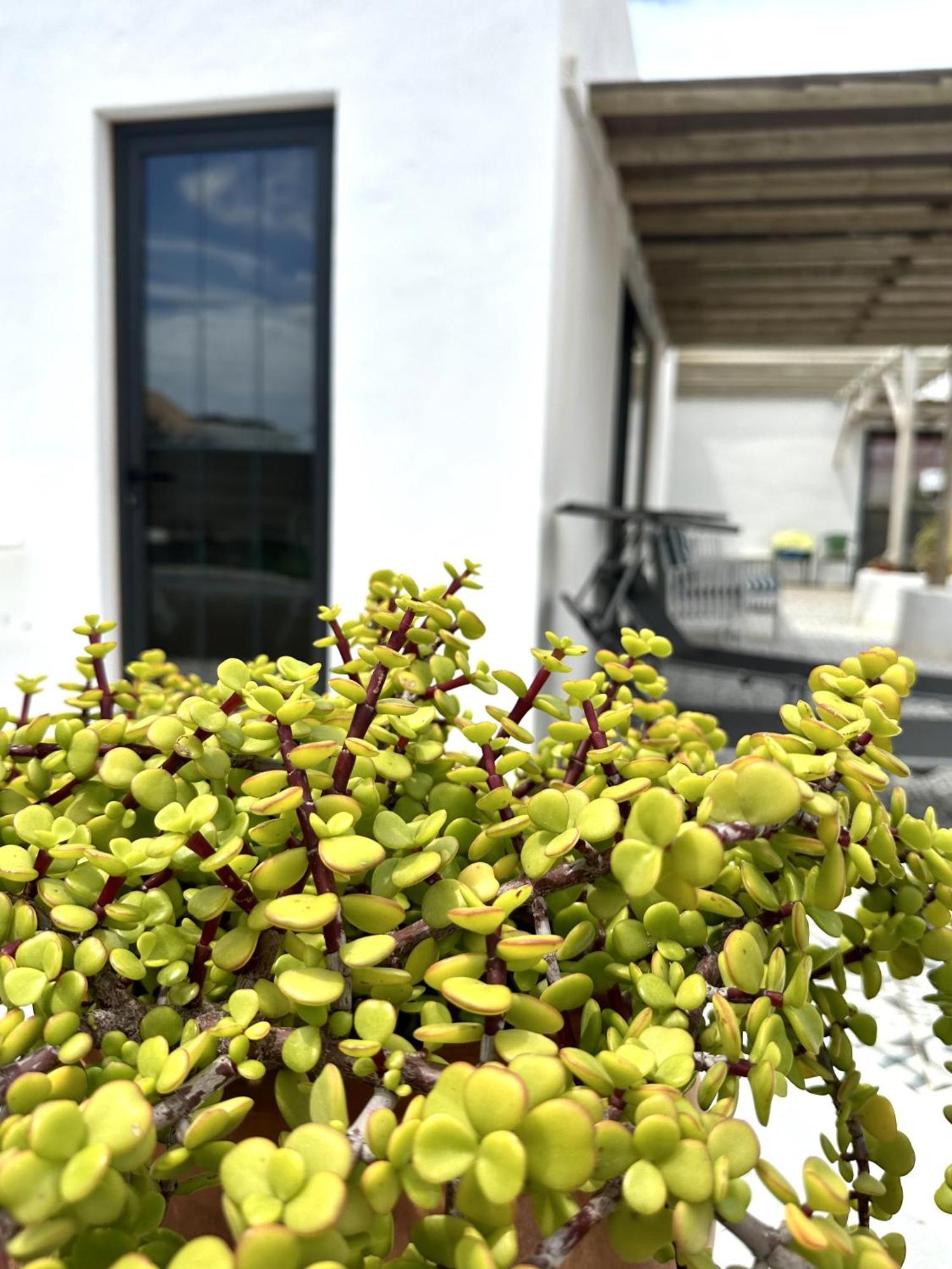Ferienwohnung Casita Tiare Lajares Exterior foto