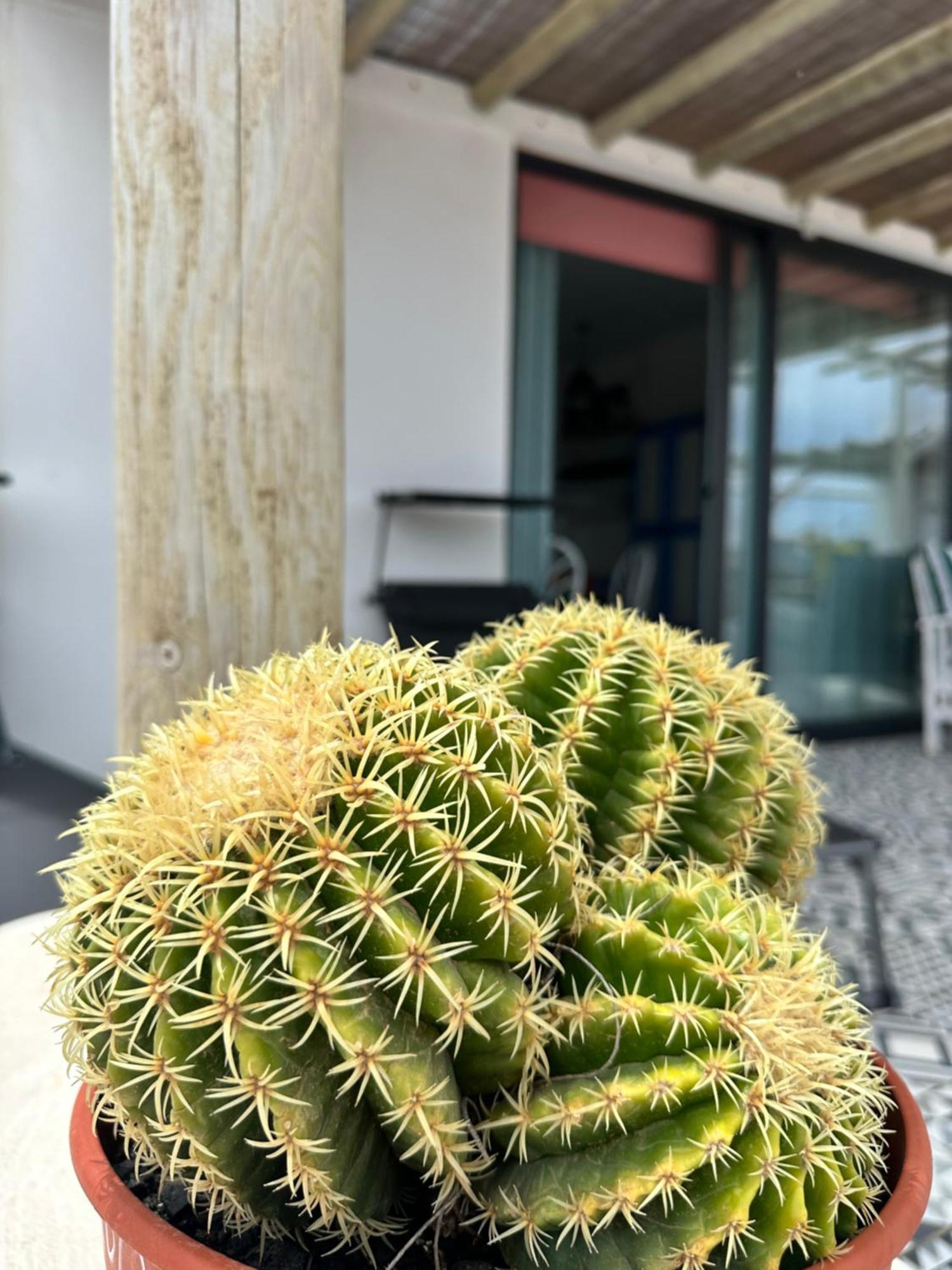 Ferienwohnung Casita Tiare Lajares Exterior foto
